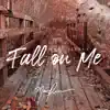 Fall on Me - Single album lyrics, reviews, download