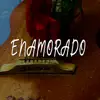 Enamorado - Single album lyrics, reviews, download