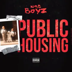 Public Housing Song Lyrics