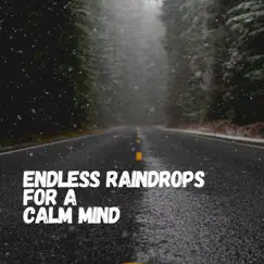 Endless Raindrops for a Calm Mind by Rainfall album reviews, ratings, credits