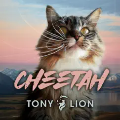 Cheetah - Single by Tony Lion album reviews, ratings, credits