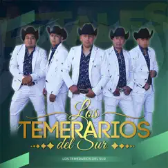Partido en Dos - Single by Los Temerarios del Sur album reviews, ratings, credits