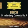 Brandenburg Concerto No. 3 in G Major, BWV 1048: I. (Without Tempo Indication) song lyrics