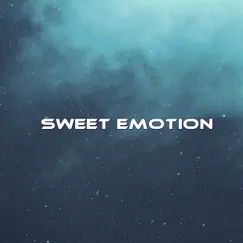 Sweet Emotion Song Lyrics