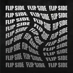 FlipSide - Single by Alan Avry album reviews, ratings, credits