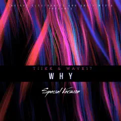 WHY (Special Version) - Single by Tiikk & WAVE17 album reviews, ratings, credits