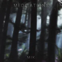Meditations - Single by Mik album reviews, ratings, credits