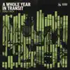A Whole Year in Transit album lyrics, reviews, download