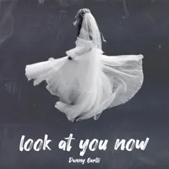 Look at You Now - Single by Danny Oertli album reviews, ratings, credits