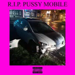 R.I.P. Pussy Mobile (feat. T-Spoon) - Single by Big Mac Nick & Maxwell the Custodian album reviews, ratings, credits