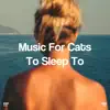 !!!" Music for Cats to Sleep to "!!! album lyrics, reviews, download