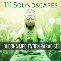 111 Soundscapes: Buddha Meditation Paradise - Relaxing Mindfulness, Zen Hypnotic Music, Heal Imbalances with Pure Nature Sounds, Tantric Yoga, Think Positive to Energize Your Life by Buddhism Academy album reviews, ratings, credits