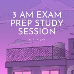 3 Am Exam Prep Study Session (feat. Patrik Panda) - Single by Phat Ricky album reviews, ratings, credits