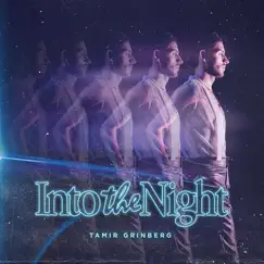 Into the Night - Single by Tamir album reviews, ratings, credits