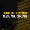 Agora Eu To Sozinho Nesse Mal Caminho (feat. Mc J Mito) - Single album lyrics, reviews, download