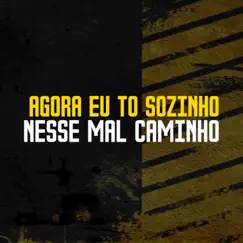 Agora Eu To Sozinho Nesse Mal Caminho (feat. Mc J Mito) - Single by DJ David Couver OFC album reviews, ratings, credits