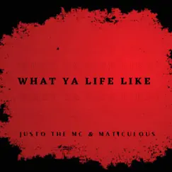 What Ya Life Like Song Lyrics