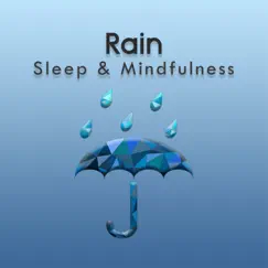 Sleep to Summer Rain by Sleepy Times album reviews, ratings, credits