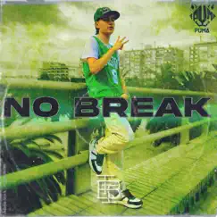 No Break - Single by The Brothers Inc & Pumalf album reviews, ratings, credits