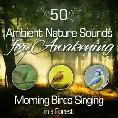 50 Ambient Nature Sounds for Awakening: Morning Birds Singing In a Forest – Meditation, Yoga Mantra To Release Stress & Relaxation Music by Singing Birds Zone album reviews, ratings, credits