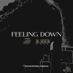 Feeling Down - Single by Johnny HD & D.Red album reviews, ratings, credits