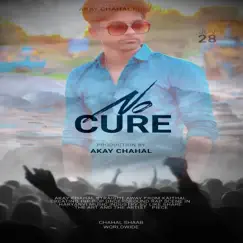 No Cure - Single by Akay Chahal album reviews, ratings, credits