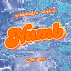 Numb (Alok Remix) - Single by Marshmello, Khalid & Alok album reviews, ratings, credits