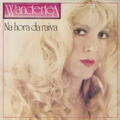 Na Hora da Raiva / Um Jeito Novo de Amar - Single by Wanderléa album reviews, ratings, credits
