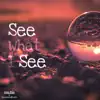 See What I See (feat. Karasama Beats) - Single album lyrics, reviews, download