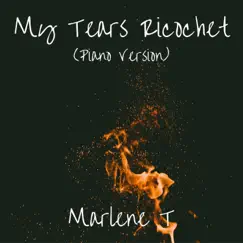 My Tears Ricochet (Piano Version) Song Lyrics