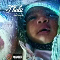 Thula - Single by BabaNarsieSA album reviews, ratings, credits