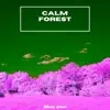 Calm Forest - EP album lyrics, reviews, download