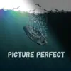 Picture Perfect (feat. Gavin Graye) - Single album lyrics, reviews, download