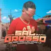 Sal Grosso - Single album lyrics, reviews, download