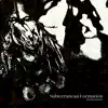 Subterranean Formation (Instrumental) [feat. Камиль Скрипка & Тимур Басов] - Single album lyrics, reviews, download