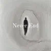 Never End - Single album lyrics, reviews, download