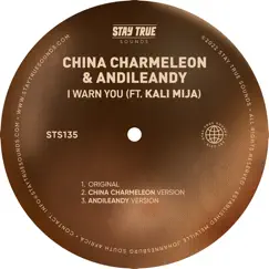 I Warn You (feat. Kali Mija) - Single by China Charmeleon & AndileAndy album reviews, ratings, credits
