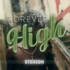 Forever High - Single by Stehigh album reviews, ratings, credits