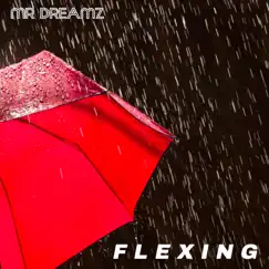 Flexing - Single by Mr Dreamz album reviews, ratings, credits