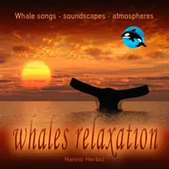 White Whale Relaxation - Delphinapterus Leucas - Weißwal - Beluga Song Lyrics