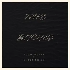 Fake Bitches - Single by Lucas Wunna & Uncle Dolly album reviews, ratings, credits