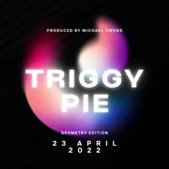 Triggy Pie - Single by Ronical album reviews, ratings, credits