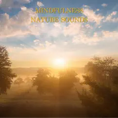 Mindfulness Nature Sounds by Baby Sleep Sounds album reviews, ratings, credits
