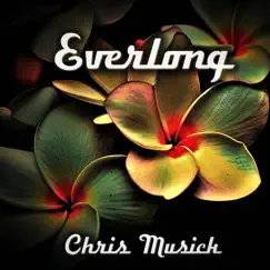 Everlong (Cover) - Single by Chris Musick album reviews, ratings, credits