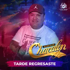 Tarde Regresaste - Single by Chacalon Jr album reviews, ratings, credits