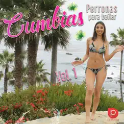Cumbias Perronas para Bailar, vol. 1 by Fabio Polanco album reviews, ratings, credits