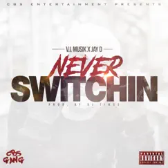 Never Switchin - Single by V.I. Musik album reviews, ratings, credits