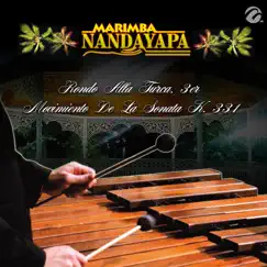 Rondo Alla Turca, 3er Movimiento De La Sonata K. 331 - Single by Marimba Nandayapa album reviews, ratings, credits