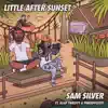 Little After Sunset - Single album lyrics, reviews, download