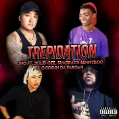 Trepidation (feat. Solid Gee, Shadrach Bennyboo & Godsun Da Faroah) - Single by JNO album reviews, ratings, credits